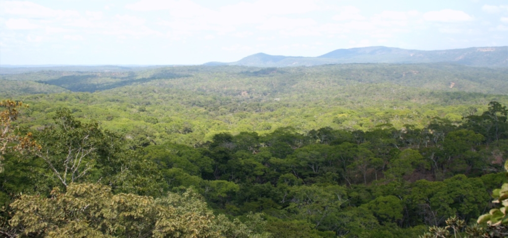 ls-project-4-slide-2